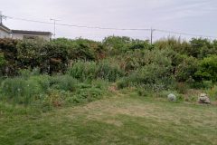 IMG_20240507_055158_330