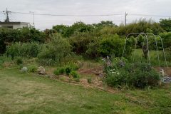 IMG_20240507_060312_951