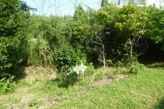 P1030944