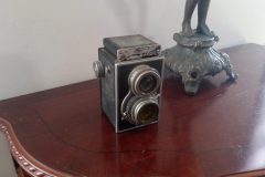 IMG_20250108_110422_881