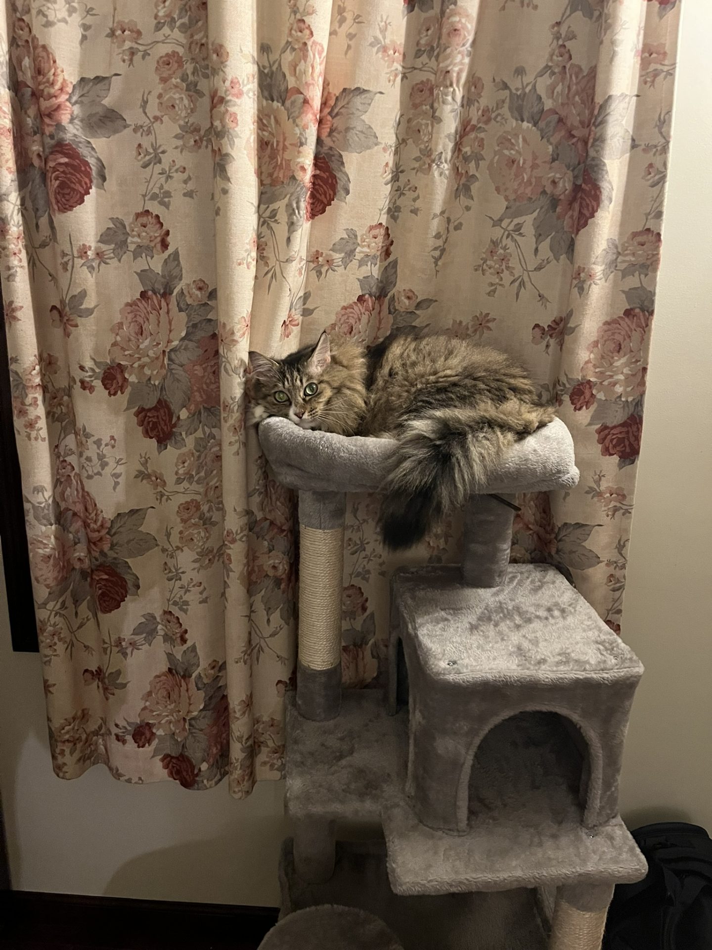 こんなに元気になりました。