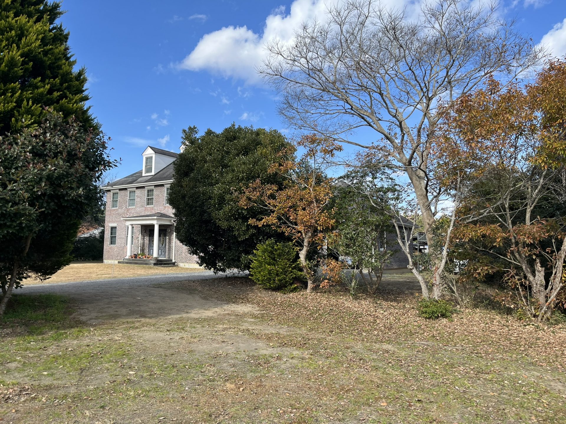 寒くなりました