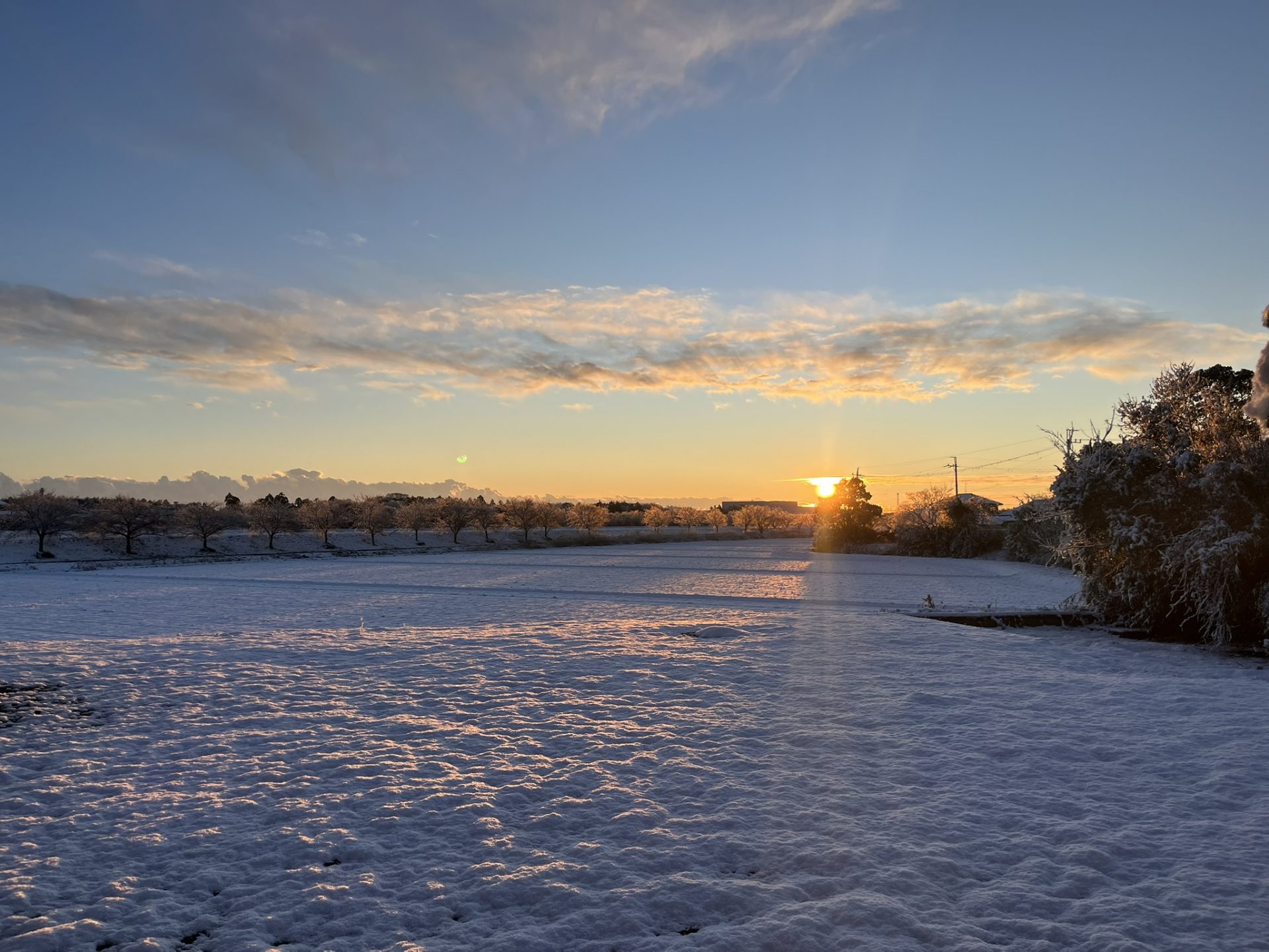 雪が積もりました